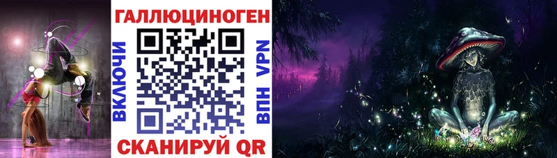 где купить наркоту  Бабушкин  дарк нет клад  Галлюциногенные грибы прущие грибы 